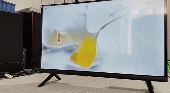 24인치 T2S2 디지털 소형 LCD TV 멀티미디어가 있는 비 OS